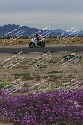 media/Jan-14-2023-SoCal Trackdays (Sat) [[497694156f]]/Turn 14 Exit Bloomig (145pm)/